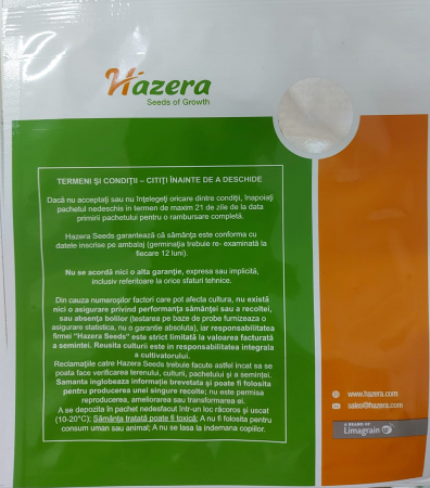 Vinete Aragon F1- 1000 semințe [2]