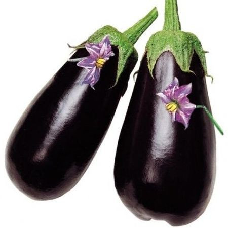 Vinete Aragon F1 200 seminte [0]