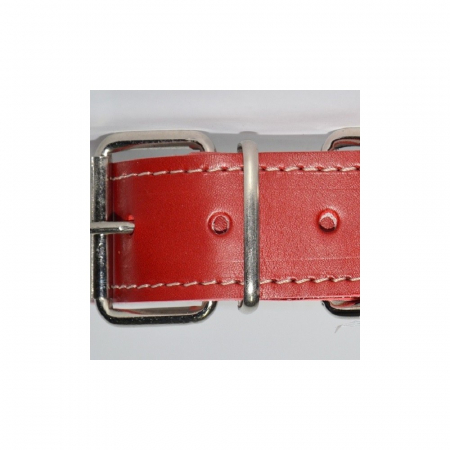 Accesorii - Zgarda piele 4,0 cm/75 cm nr 6 rosu