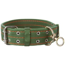 Accesorii - Zgarda textila groasa 50 mm/80 cm verde