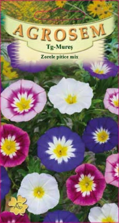 Flori - Zorele pitice mix 1gr