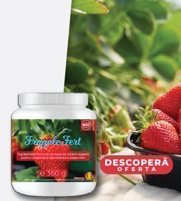 ingrasaminte organice pentru arbusti fructiferi