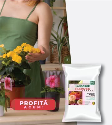 Ingrasamant solid pentru flori si plante ornamentale