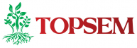 Topsem