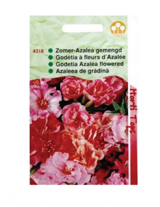 Seminte Azalee de gradina 0.5 g Florian [1]