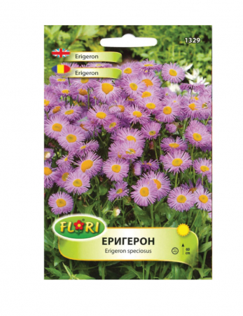 Erigeron - Seminte Erigeron 0.5g Florian