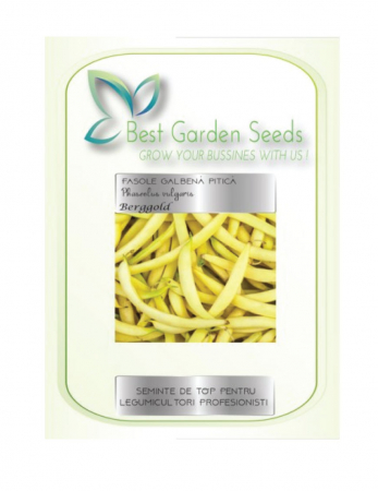 Fasole - Seminte Fasole galbena pitica Berggold Best Garden Seeds