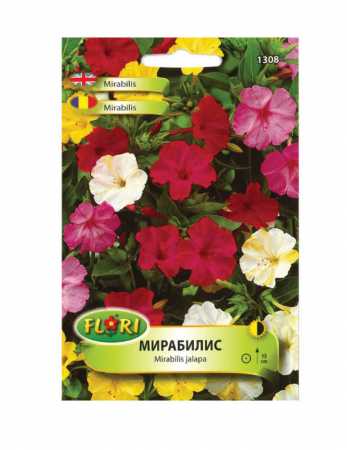 Fumoasa Noptii - Seminte Frumoasa Noptii 2.5g Florian