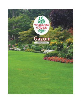 Gazon - Seminte Gazon universal 500g Topsem