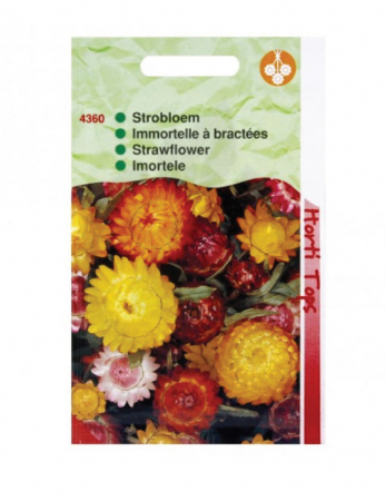 Semințe - Imortele 0.75 g