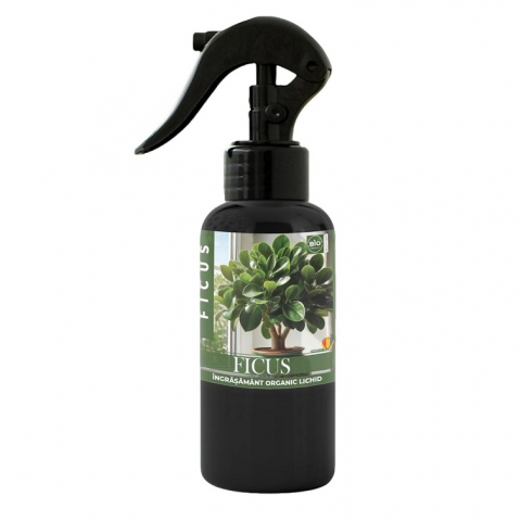 Floarea Soarelui - Ingrasamant Ficus Ready Made 500ml