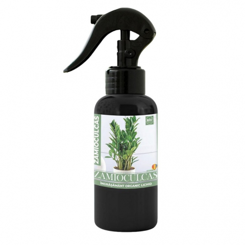 Floarea Soarelui - Ingrasamant Zamioculcas Ready Made 500ml