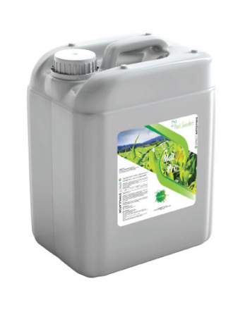 Porumb - Ingrasamant Foliar Porumb MaiZn Pro 10l