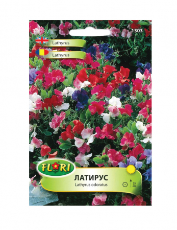 Flori și Plante Ornamentale - Latirus  0,8 g