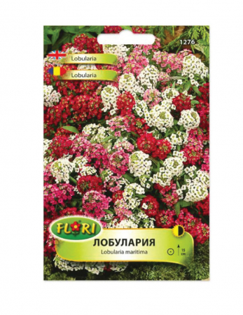 Lobularia - Seminte Lobularia mix 0.05 g Florian
