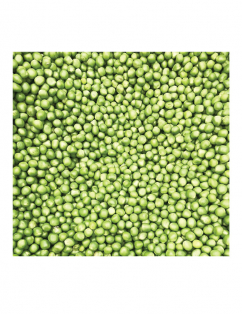 Mazare - Seminte Mazare Alvesta 40 kg