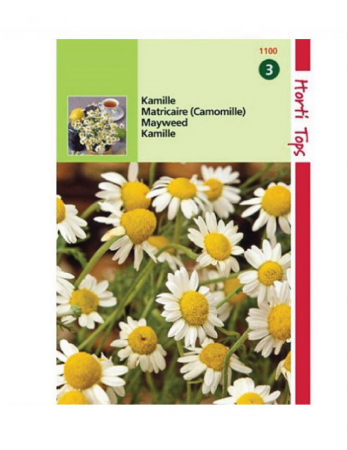 Musetel - Seminte Musetel 0.25g marca HortiTops
