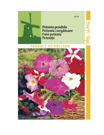 Semințe - Petunia curgătoare 0.2 g