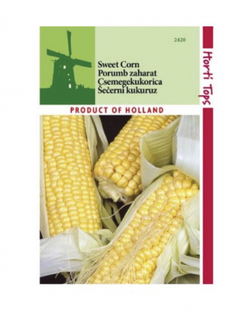 Legume și fructe - Seminte Porumb zaharat 8g HortiTops