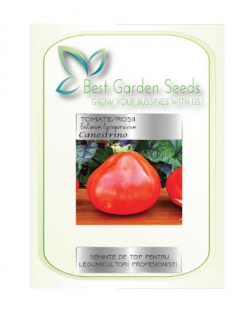 Tomate - Seminte Rosii Canestrino 0.5g Best Garden Seeds