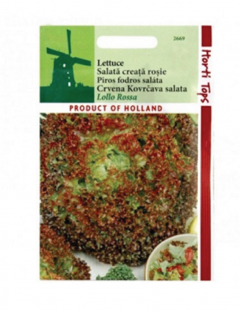 Salata - Seminte Salata creata rosie Lollo Rossa 2g HortiTops