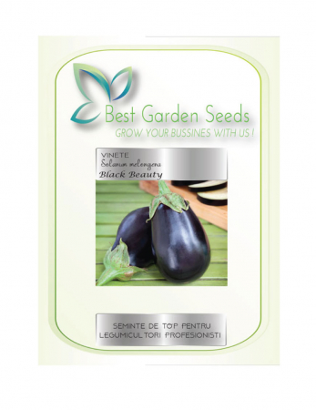 Vinete - Seminte Vinete Black Beauty - Topsem