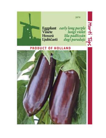 Vinete - Seminte Vinete lungi violet 1g HortiTops