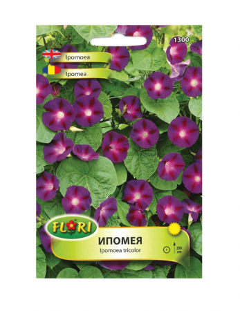 Zorele - Seminte Zorele albastre-violet 0.5 g Florian