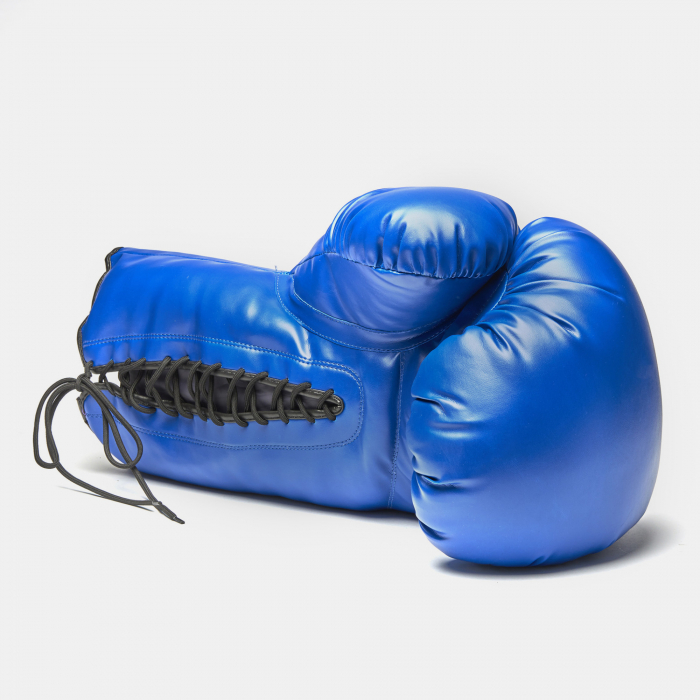 Manusa de Box Ornamentala Leone Albastra [2]