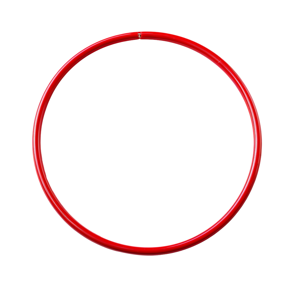 Cerc plat 50 cm [2]