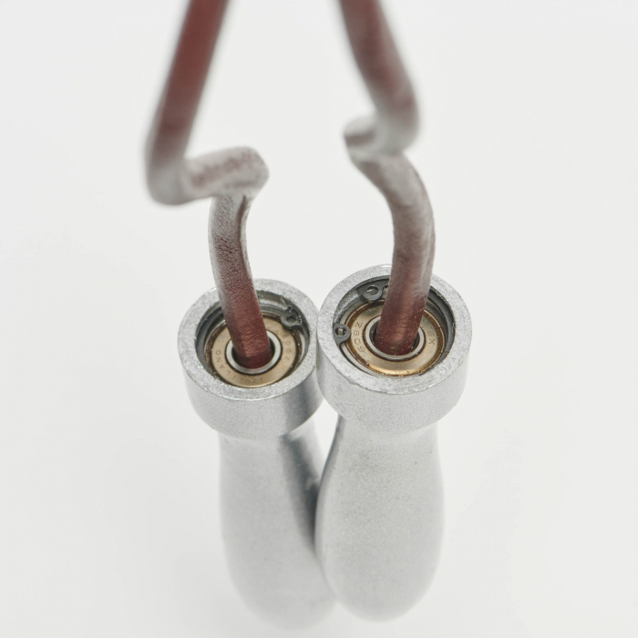 Coarda Leone AT825 [3]