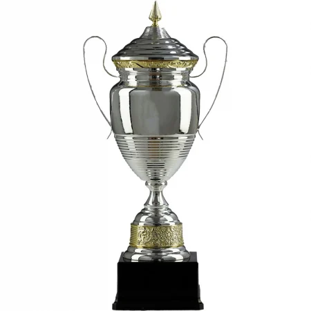 Cupa Metalica Aur/Argint 1072 [1]