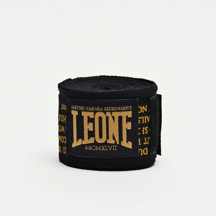 Fase de Box 3.5 metri Leone Legionarius [2]