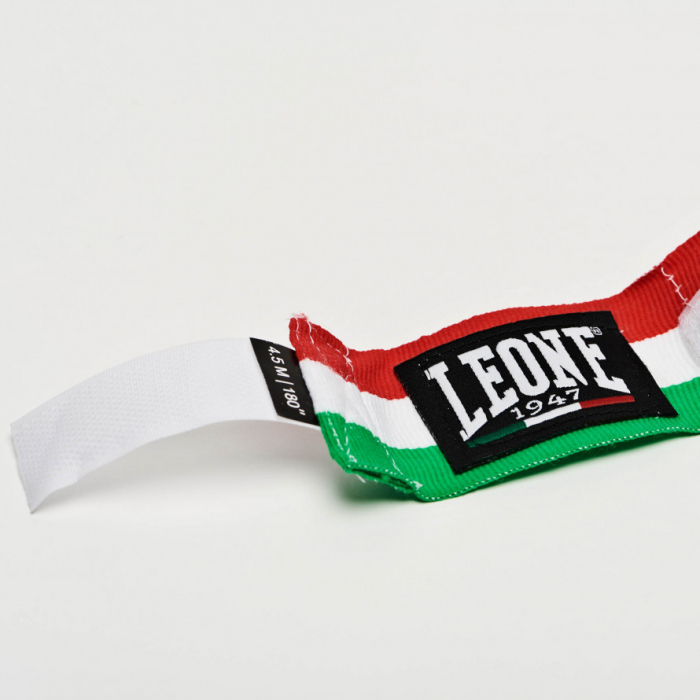 Fase de Box 4.5 metri Leone Italy [2]