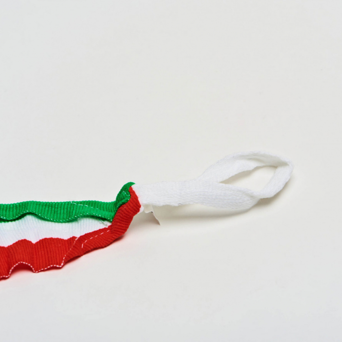 Fase de Box 4.5 metri Leone Italy [4]