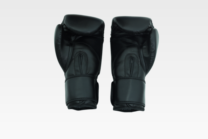 Manusi de box ARMURA Inceptos 2.0 Junior [2]