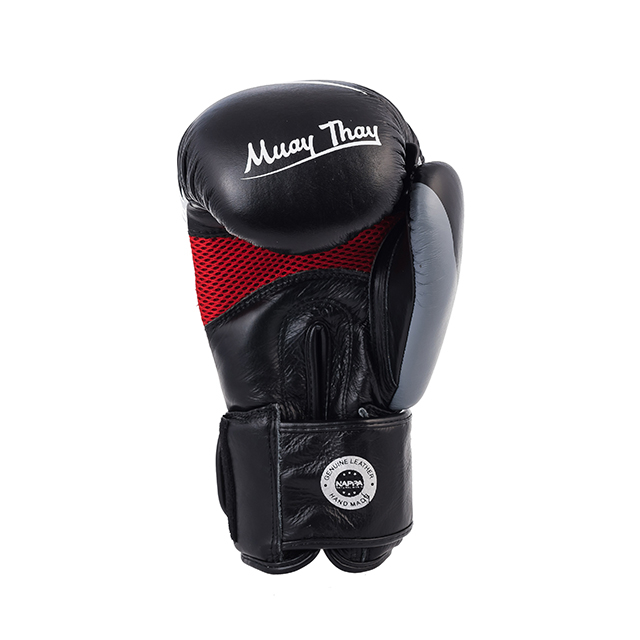 Manusi de box ARMURA  Muay  3.0 [2]