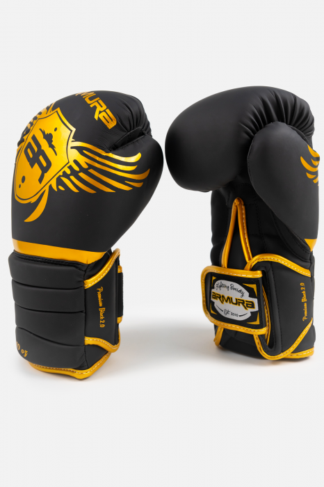 Mănuși de box ARMURA Premium Black 2.0 [1]