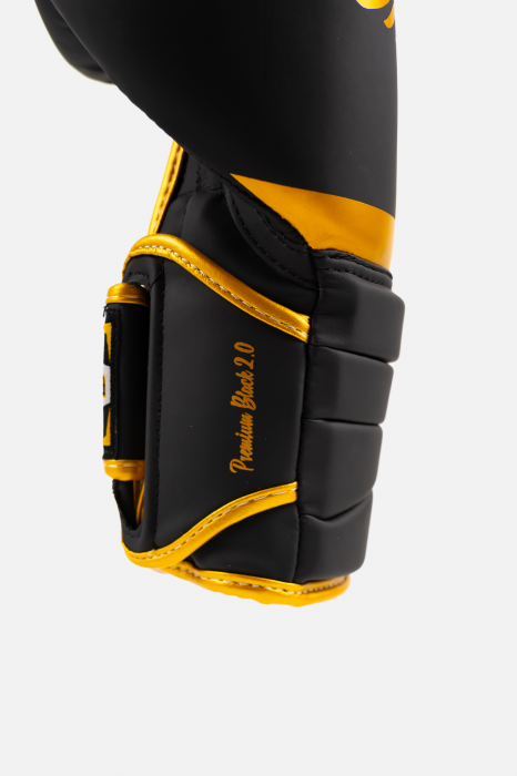 Mănuși de box ARMURA Premium Black 2.0 [4]
