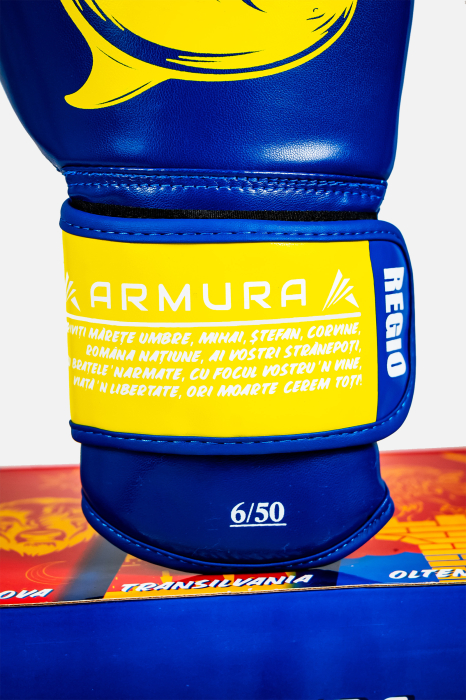 Manusi de Box ARMURA Regio Dobrogea Albastru/Galben Editie Limitata [5]