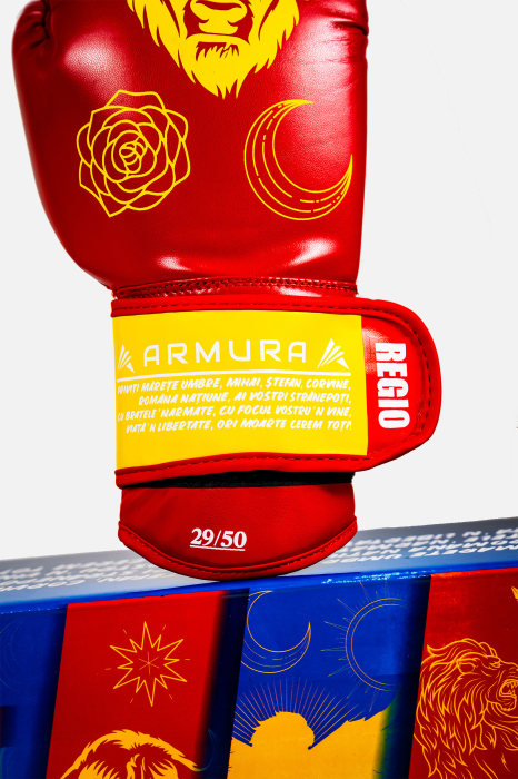Manusi de Box ARMURA Regio Moldova Rosu/Galben Editie Limitata [5]