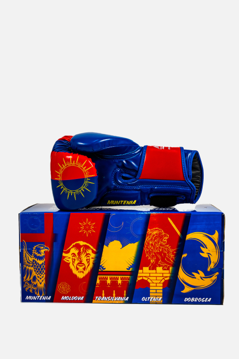 Manusi de Box ARMURA Regio Muntenia Albastru/Rosu Editie Limitata [4]