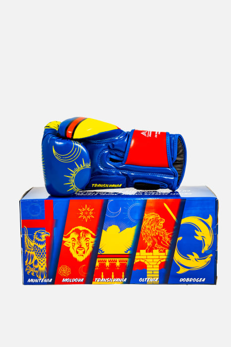 Manusi de Box ARMURA Regio Transilvania Galben/Albastru Editie Limitata [4]