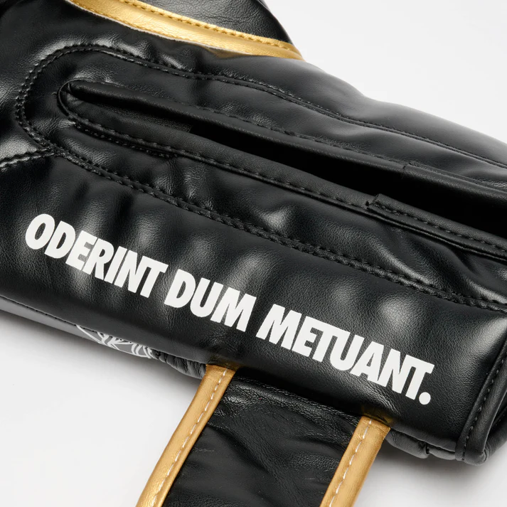 Mănuși de Box Barbed Wire Leone x IUTER [6]