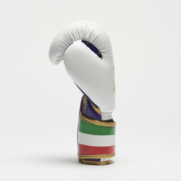 Manusi de Box Leone  Albe Junior [2]