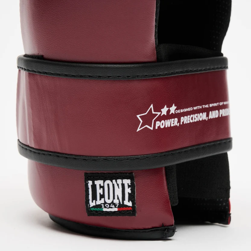 Manusi Point Fighting Wako LEONE Rosii [6]