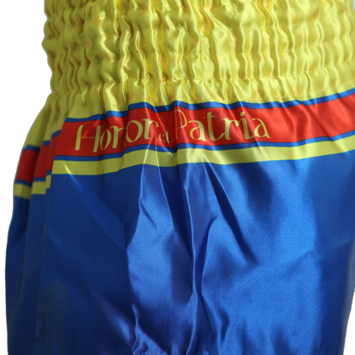 Short kickboxing ARMURA Honor et Patria 2.0 [6]