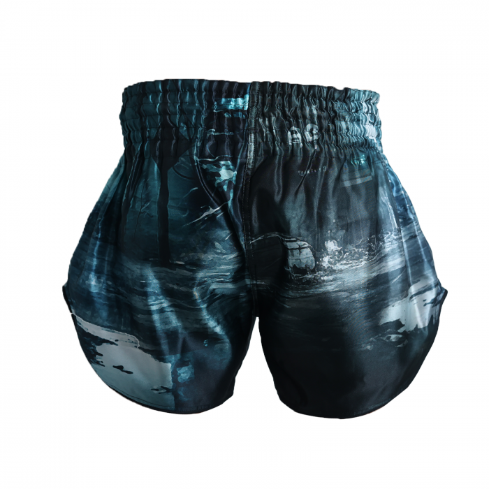 Short kickboxing ARMURA Neo Ronin 2.0 [4]