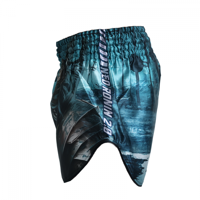 Short kickboxing ARMURA Neo Ronin 2.0 [2]