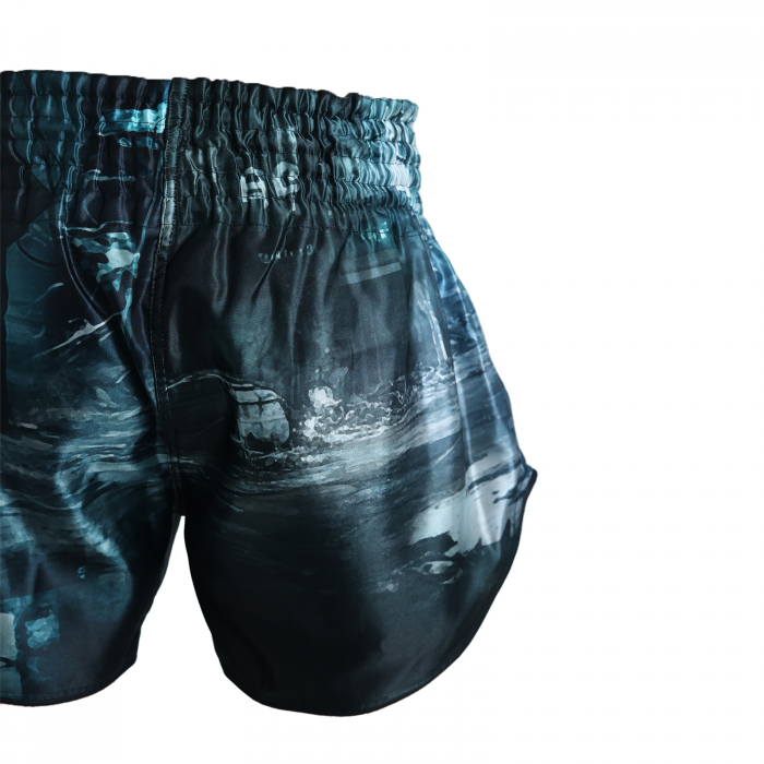 Short kickboxing ARMURA Neo Ronin 2.0 [5]